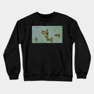 Mother Mallard Duck and Her Ducklings Crewneck Sweatshirt